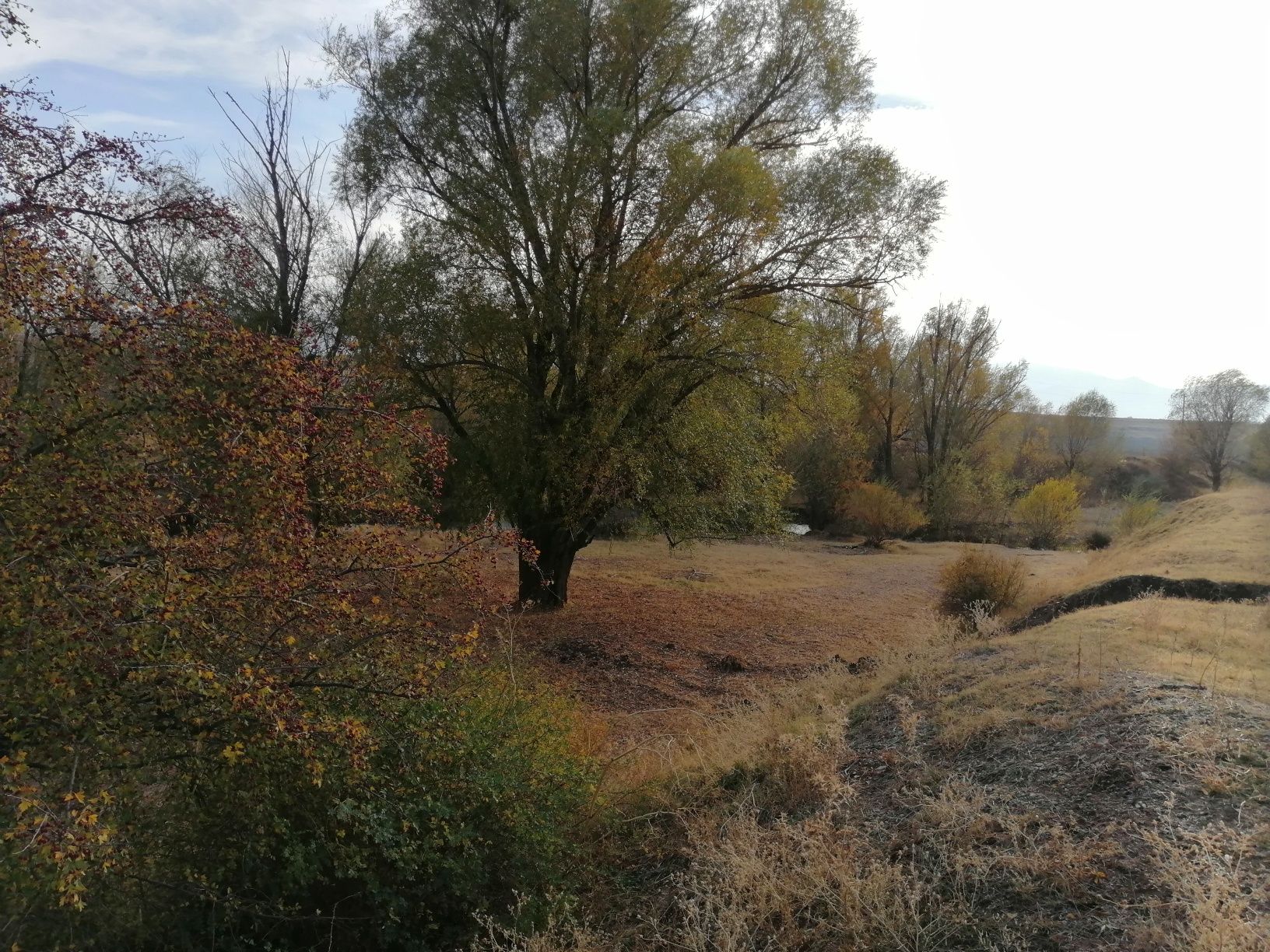 Земельный участок бод бизнес в Тулкубасе село Вановка