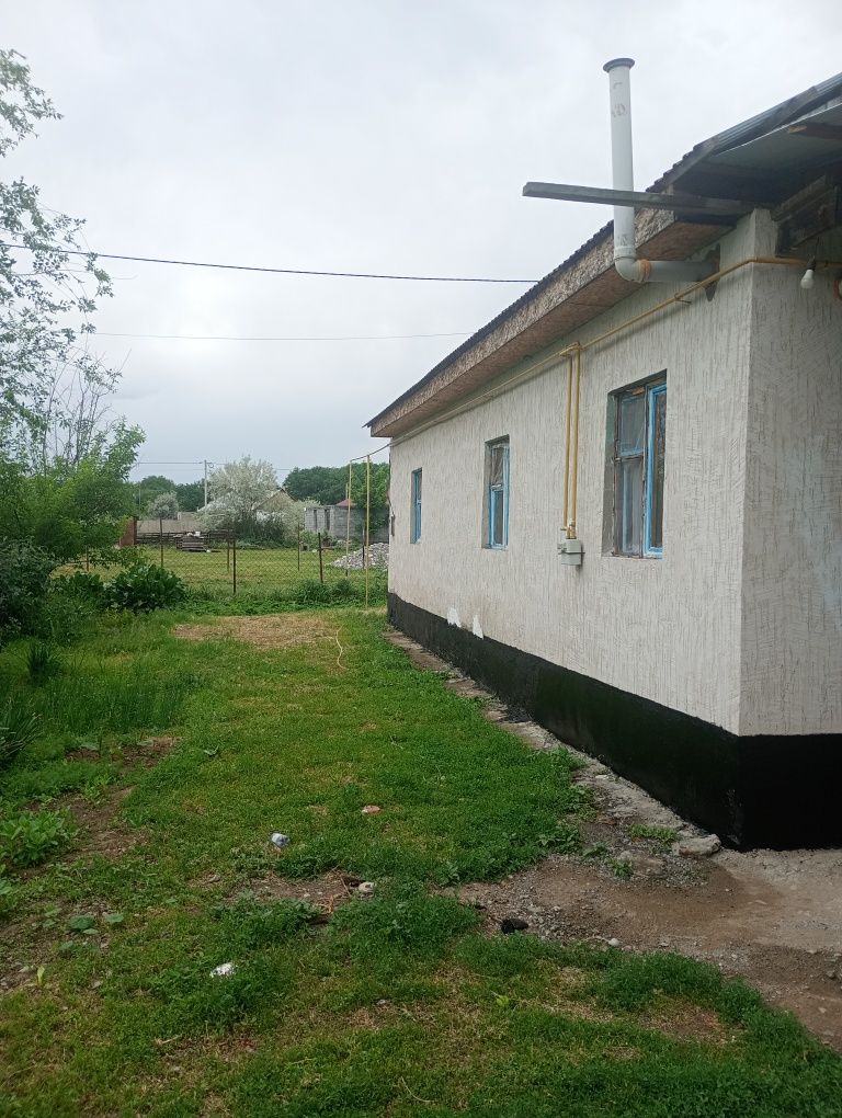Уй сатылады ынтымак ауылы