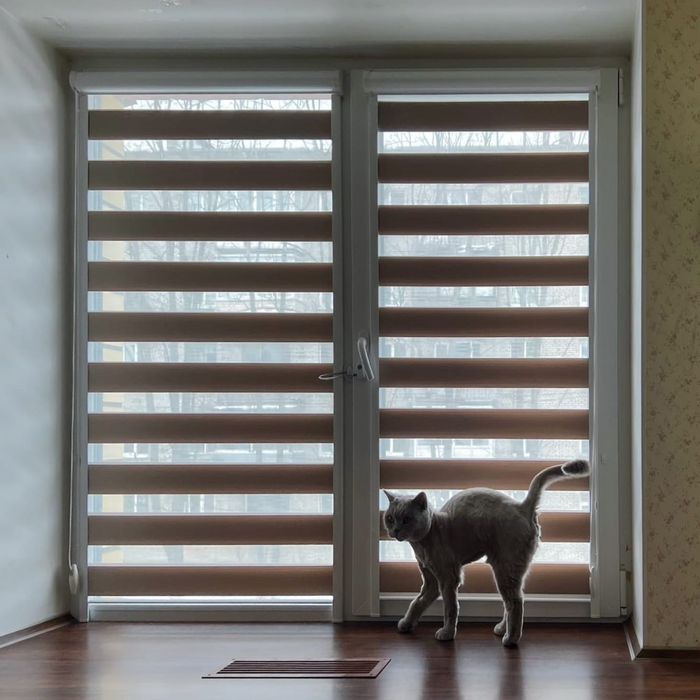 Принимаю заказ жалюзы натяжной потолок