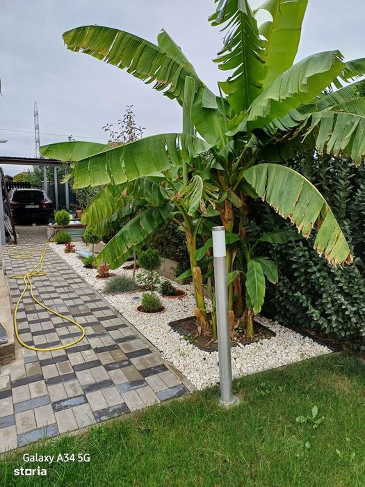 Casa tip Duplex Dumbravita+ teren 300mp+panouri fotovoltaice-Ocazie!