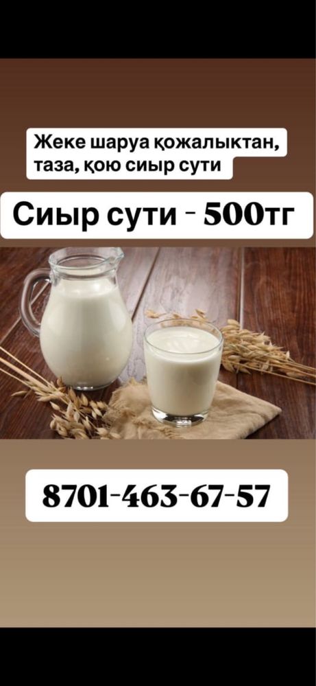Сиыр сути свежий