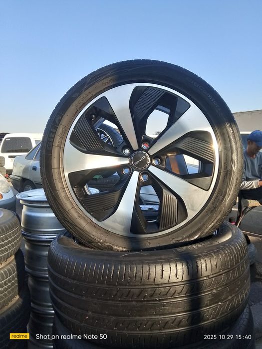 R19 byd Champion diska balon