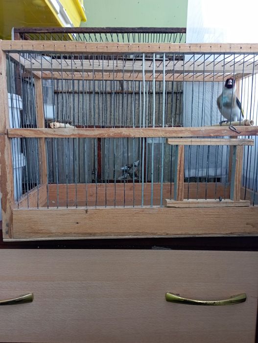 Срочно продам клетку для птиц.