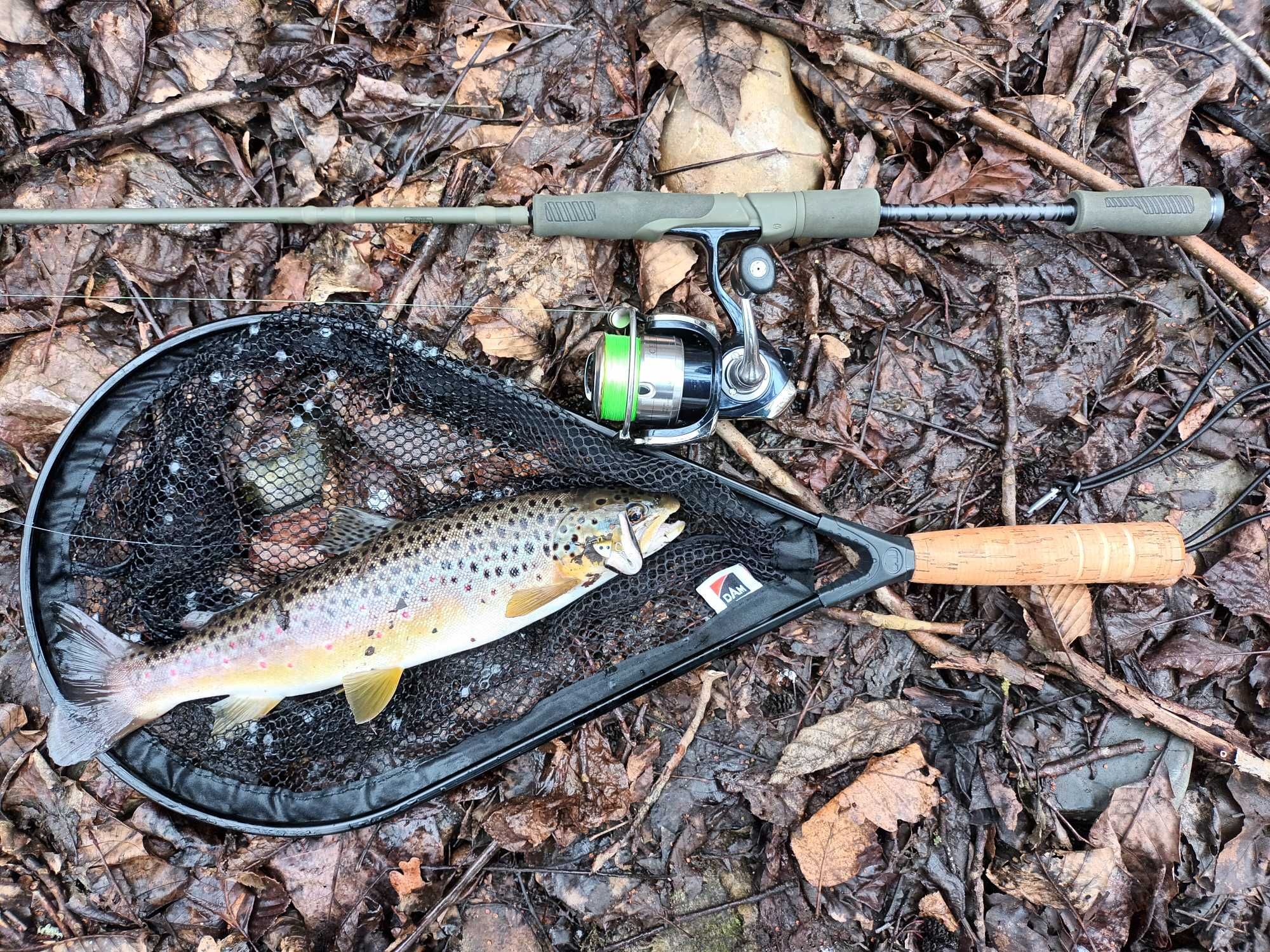 Спининг Maximus Marauder Twiching 198L 3-14гр; Daiwa Certate 04g