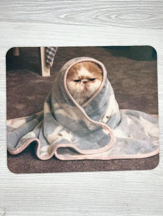 Коврик для мыши 23*19см