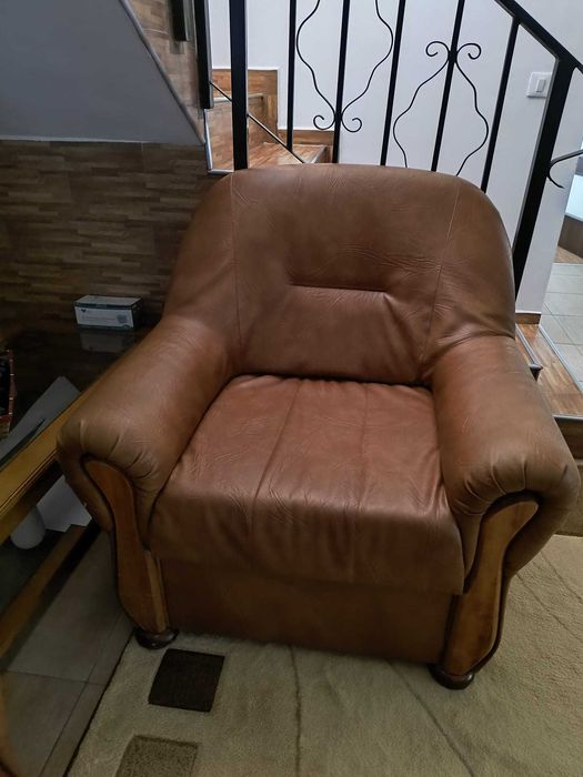 Set 2 fotolii piele ecologica