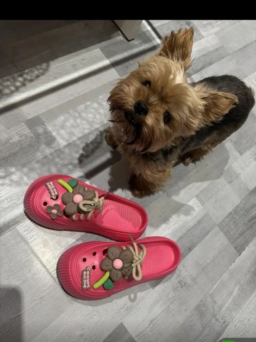 Кроксове/сабо..  .