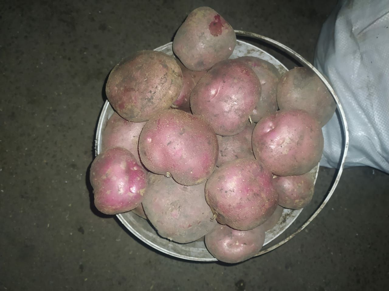 Продам картофель