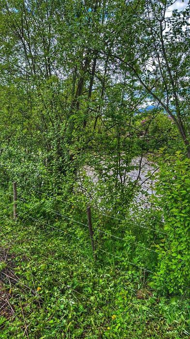 TEREN Intravilan -Intabulat Dorna-Arini