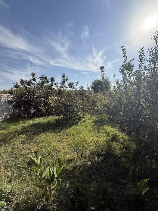 Ховли Сотилади 7 соток ески шахар орентир Мунис туйхонадан озро ичкари