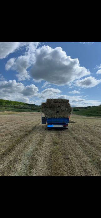 Baloti fan 2025 calitate foarte buna