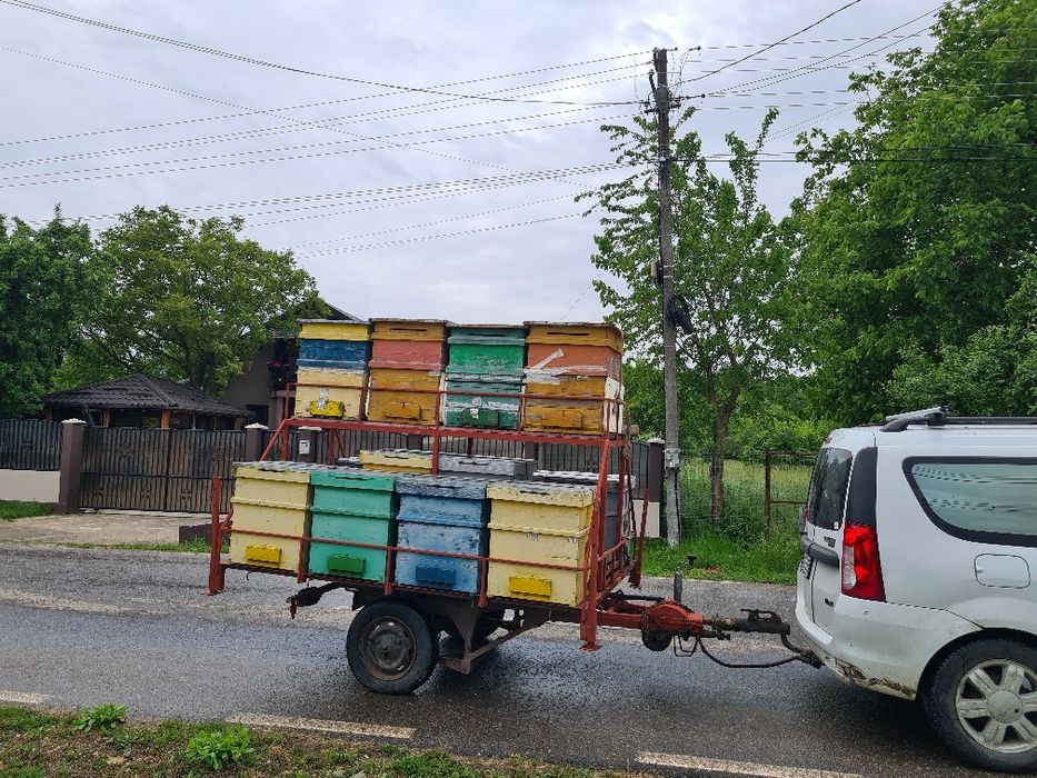 Vand stupina , 16 stupi