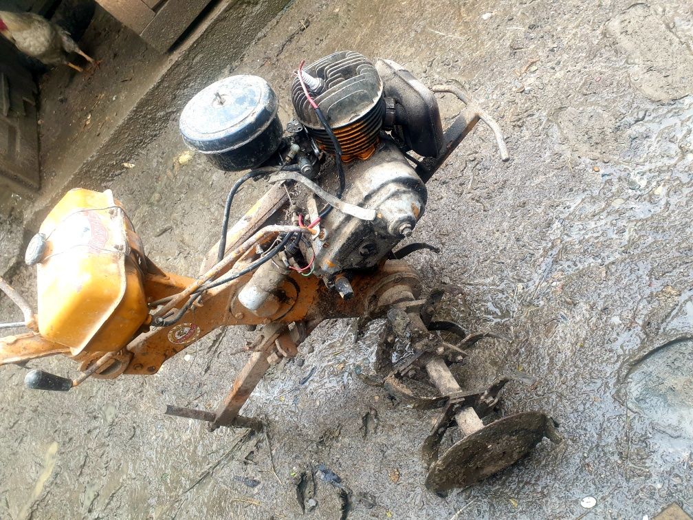 Motosapa defecta