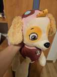 Rucsac Sky Paw Patrol