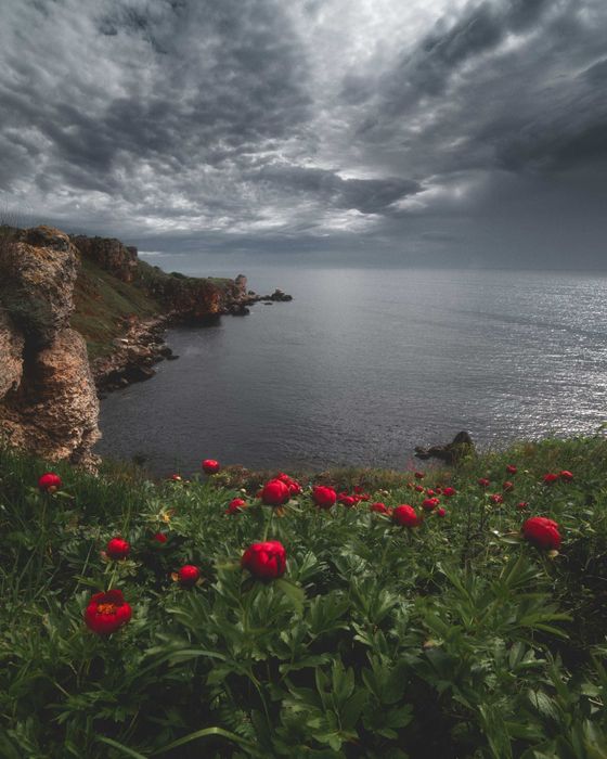 обектив Samyang 14mm f/2.8 ED AS IF UMC - Nikon FX
