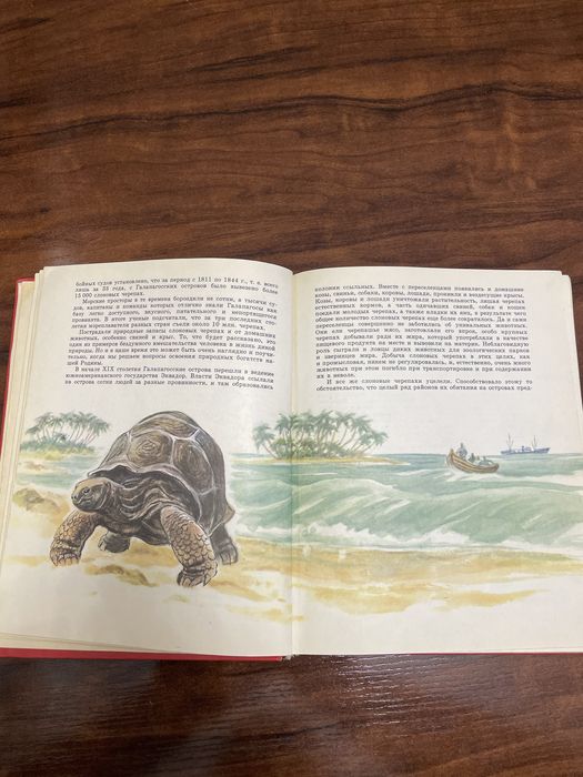 Шкатулка Тайланд и Книга про животных