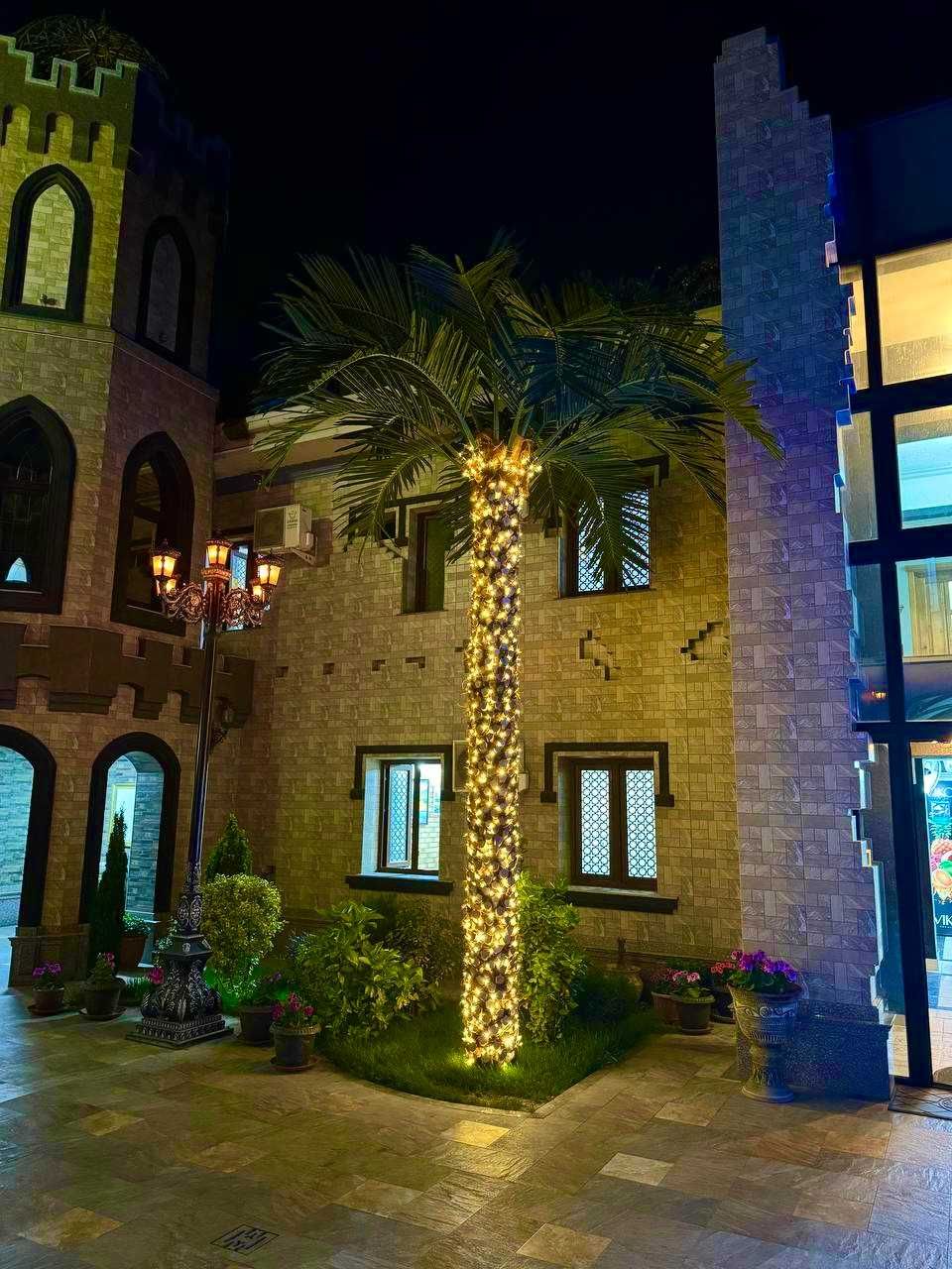 Sun’iy palma daraxtlari | ECO PALMA | 30% chegirma