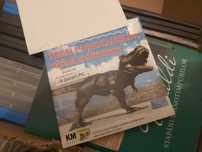 Educatia scolara cunoastere despre lumea dinozaurilor