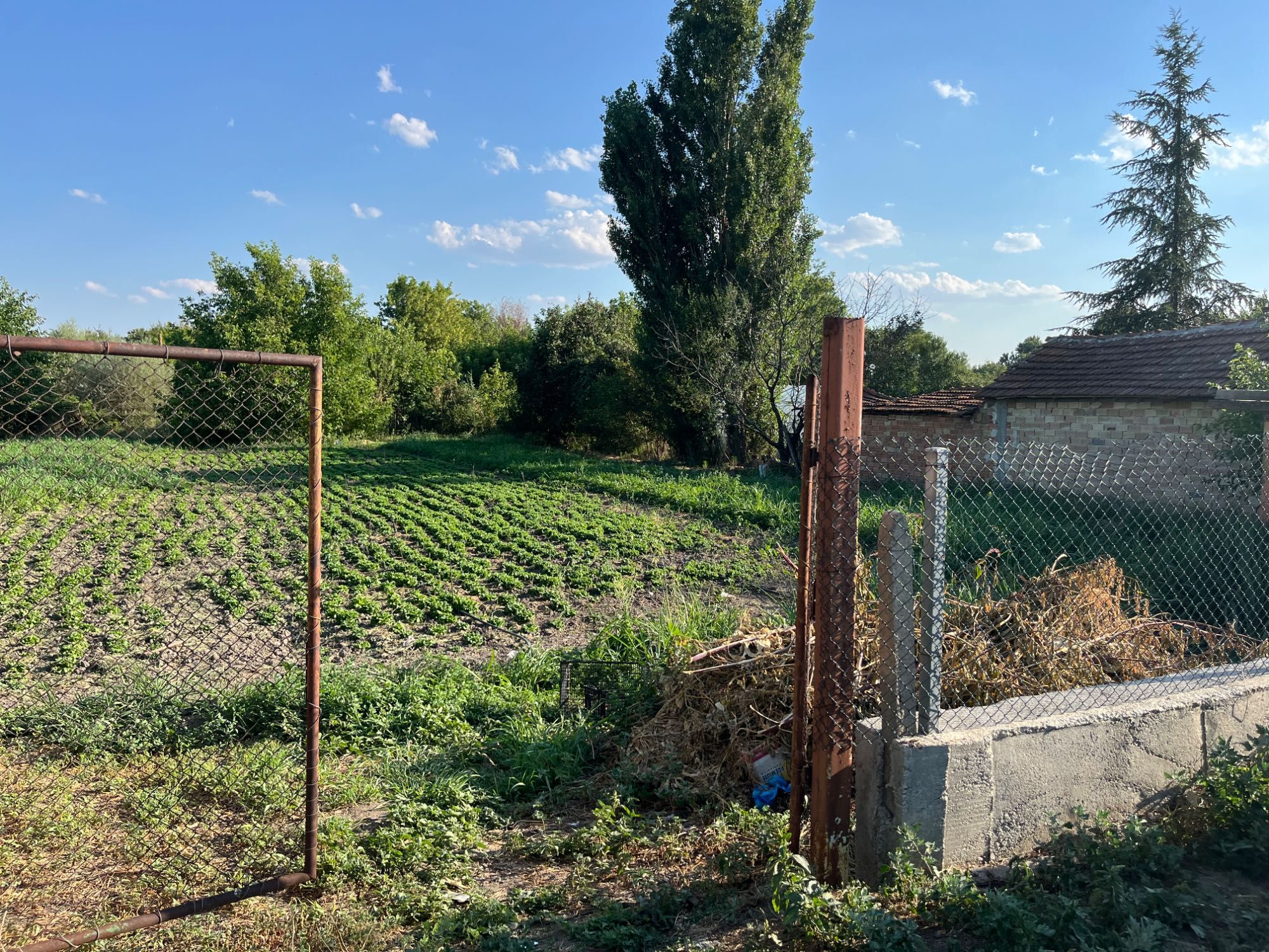 Дворно място до главен път