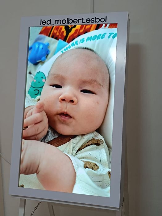 Les малберд сатылады