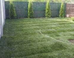 Gazon Rulou Sisteme de Irigare