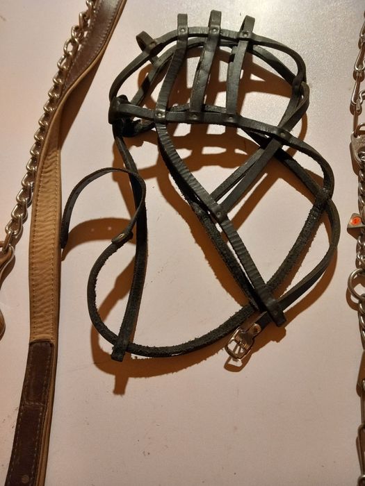 Zgarda forță, botnita și lesa caini talie mare