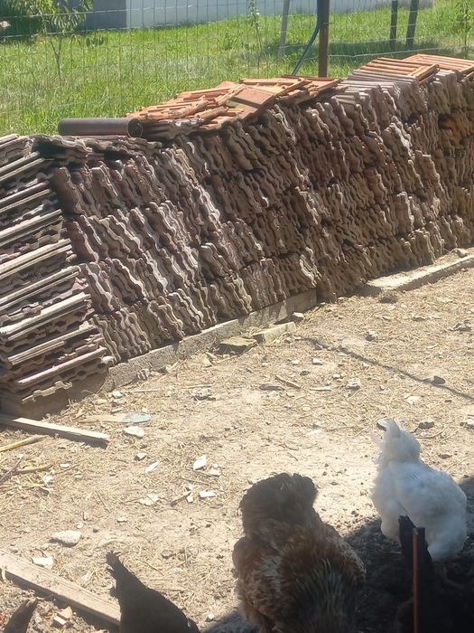 Țigle utilizate 1 leu bucata.