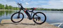 Bicicleta electrica asistata