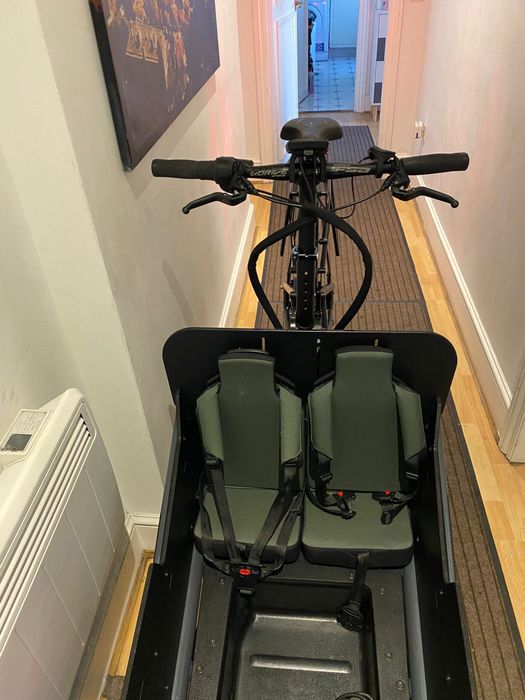 Bicicleta cargo Riese & Müller Load4 75
