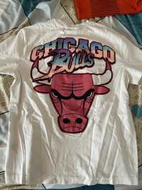 Tricou Chicago Bulls/ Nike/ Under Armour