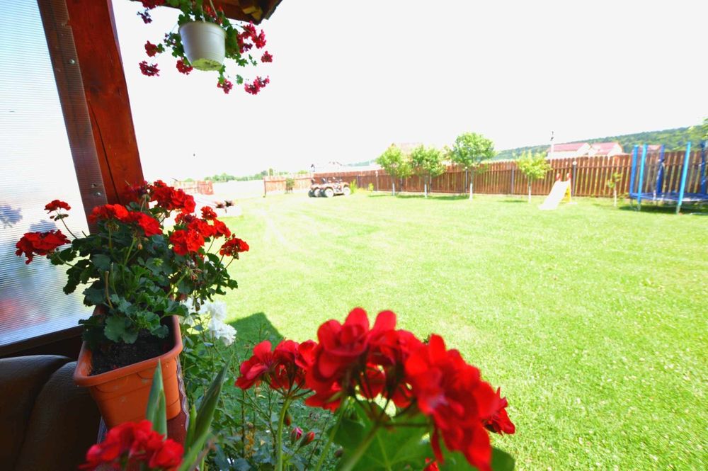 Cabana la munte in  Stațiunea Climaterica Sâmbăta de sus județul Brașo