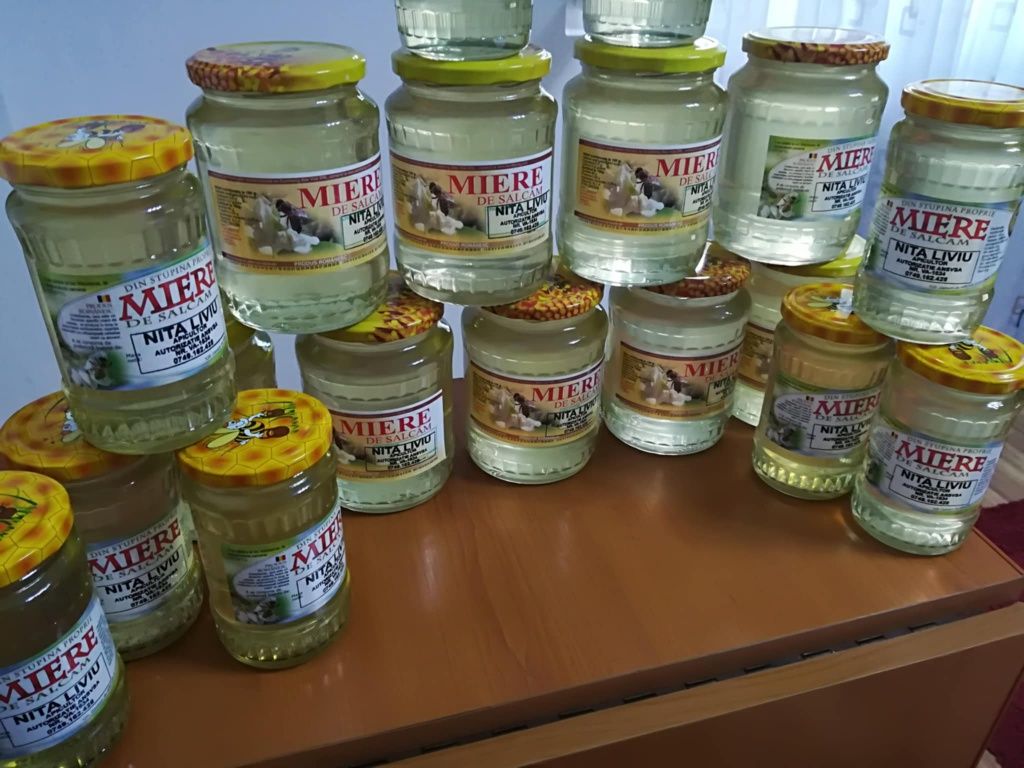 Miere de Salcam , producție 2024
