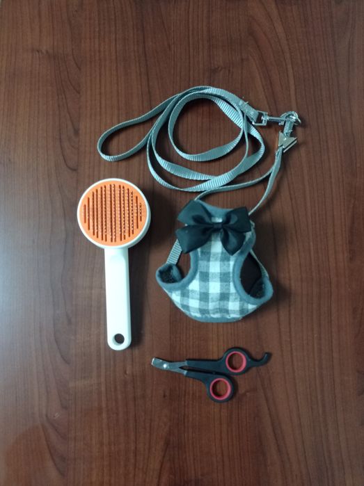 Ошейник, расческа, ножницы  для котёнка