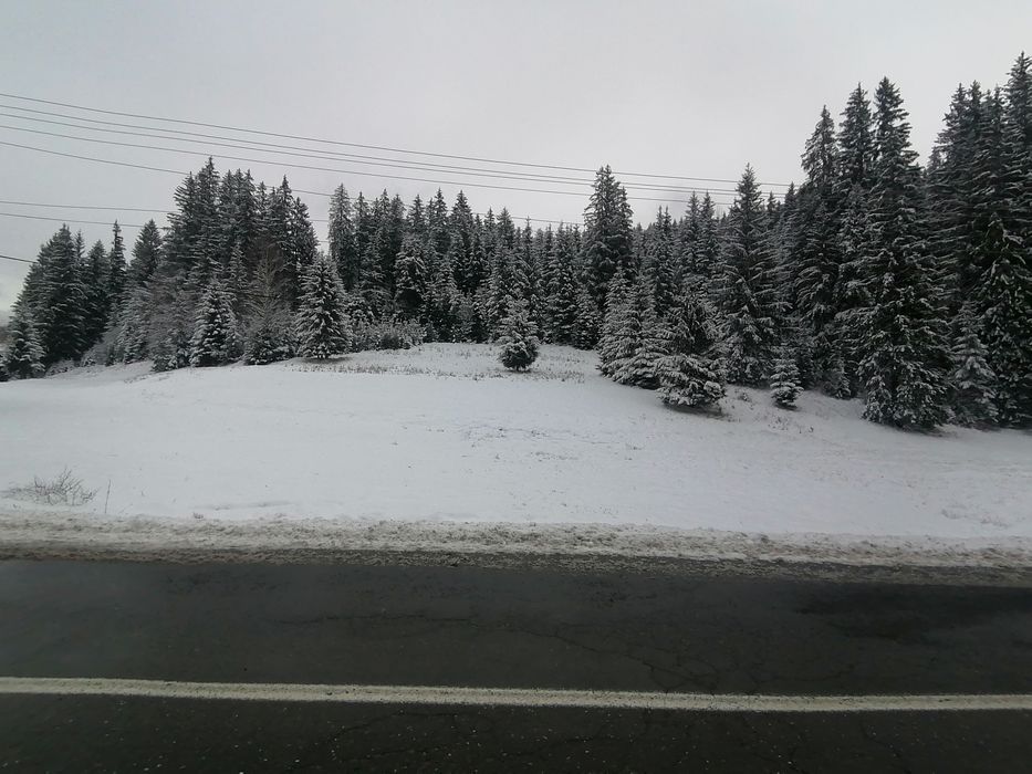 Teren intravilan pentru casă de vacanță/de locuit Secu Toplița Bilbor