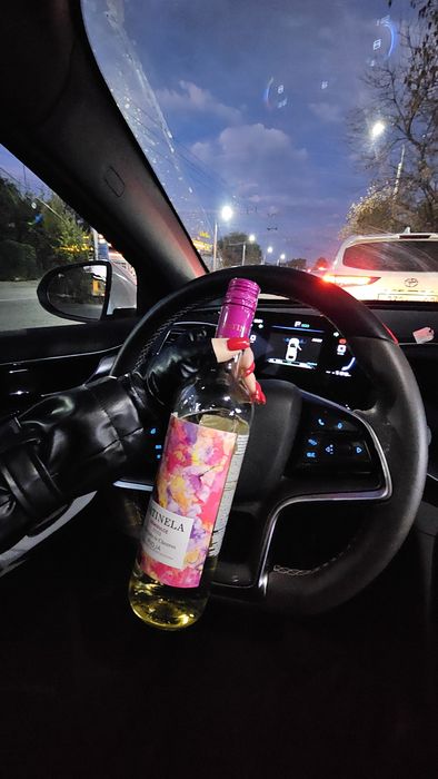 Трезвый Водитель Алматы