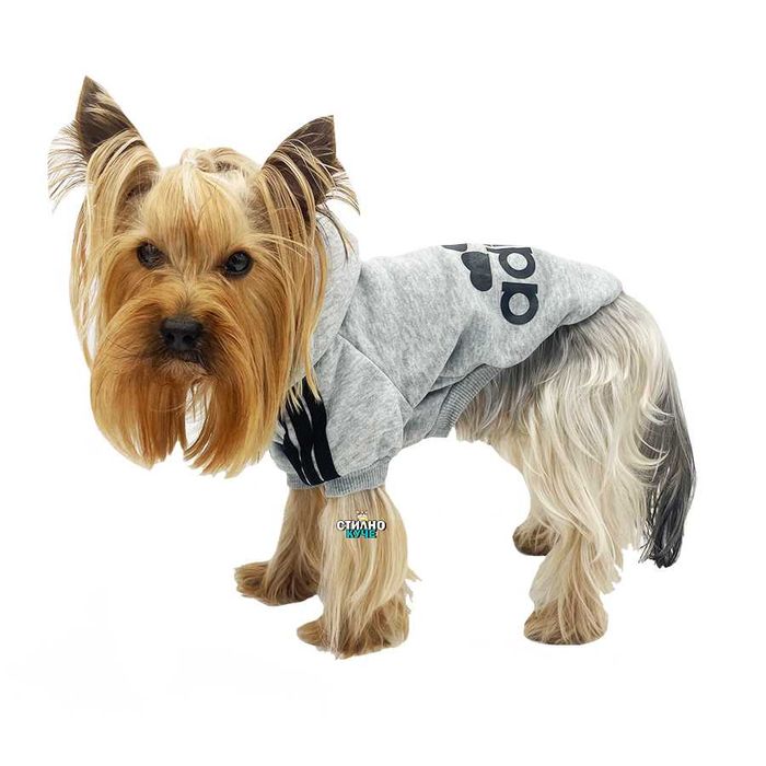 Суитшърт за куче: от XS до 9XL Кучешки суитшът Суитшърти за кучета