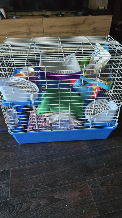 Продам клетку (Ука, Риддер)