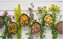 Plante medicinale vrac!