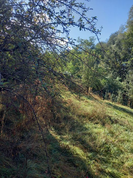 Teren de vanzare - zona linistita, pitoreasca, jud. Arges