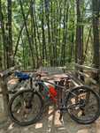 Bicicleta MTB Cube Analog 2024+geantă transport+pedalier nou