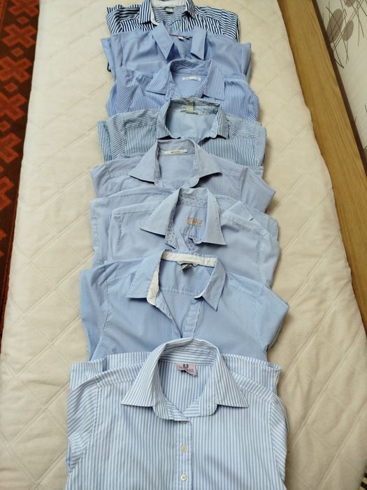 Лот офис ризки синя гама