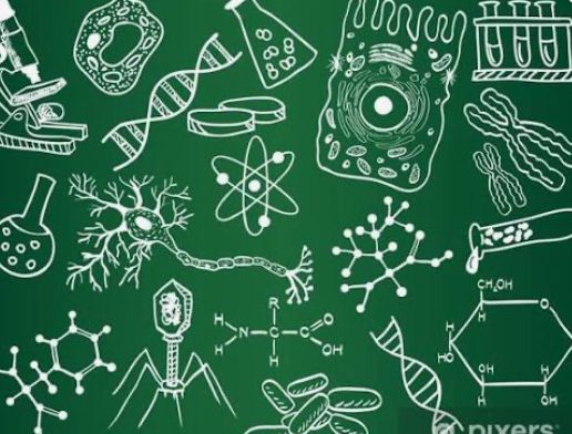 Meditatii Biologie Anatomie-Pregatire pentru Bac (clasele 11-12)