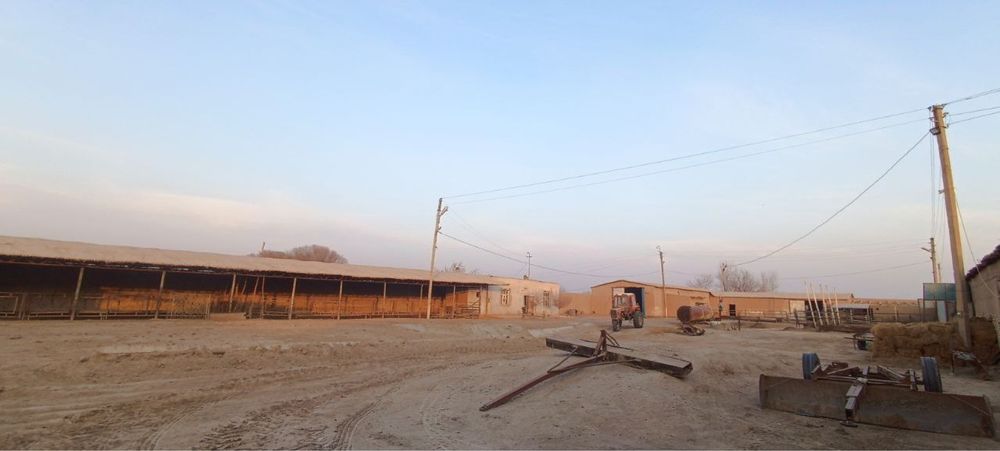 Чорвачиликга ихтисослашган фермахона бино иншоотлари сотилади