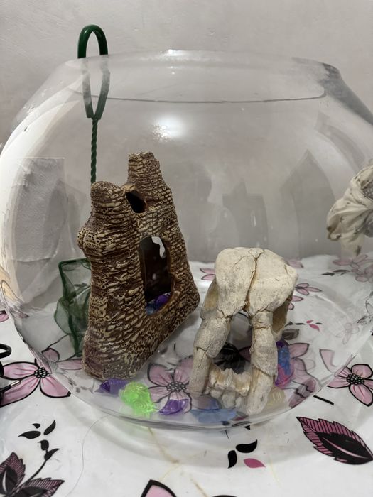 Аквариум со всеми принадлежностями