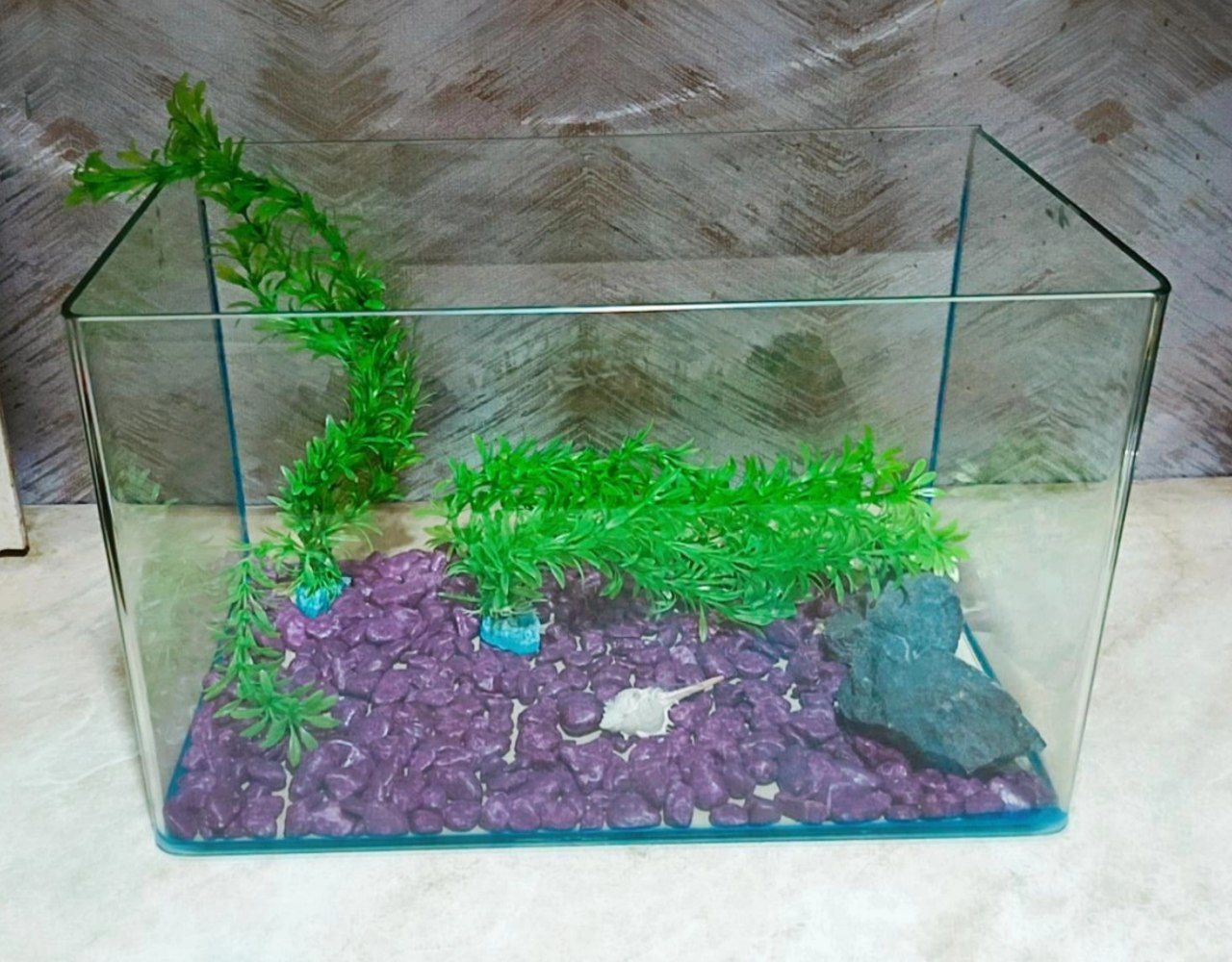 Akvarium 20 litr