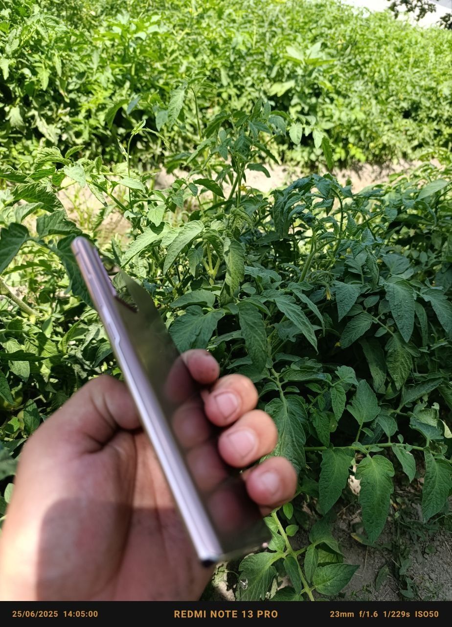 Samsung not 20 5G