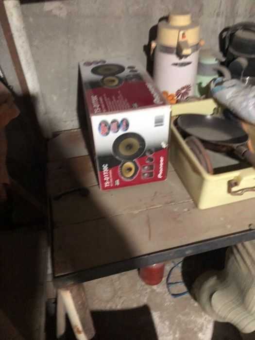 Pioner yangi holatga