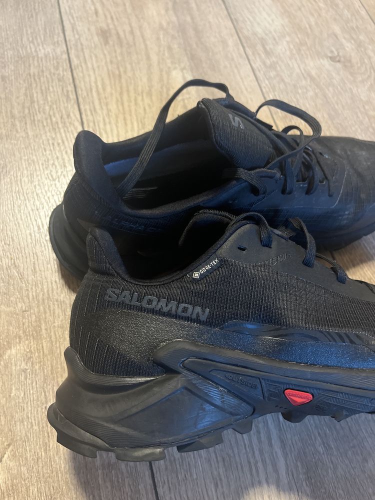 SALOMON : Alpha Cross 5 - Gore-Tex 43 1/3 размер / Оригинал