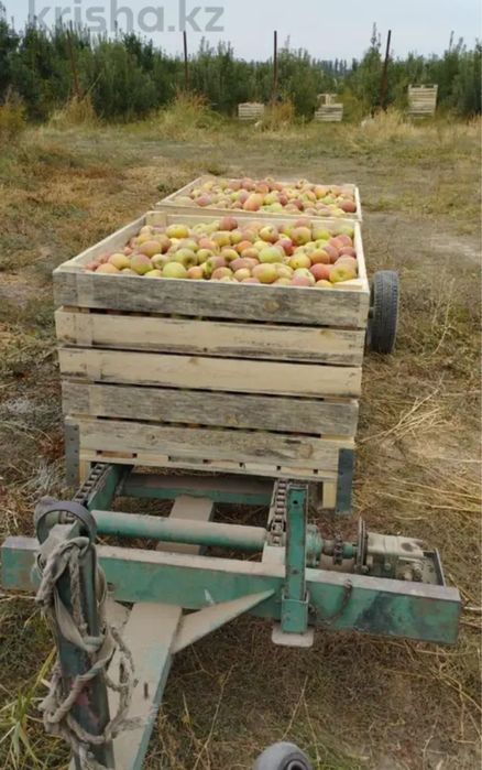 2ГА + Дом + 1900 яблонь