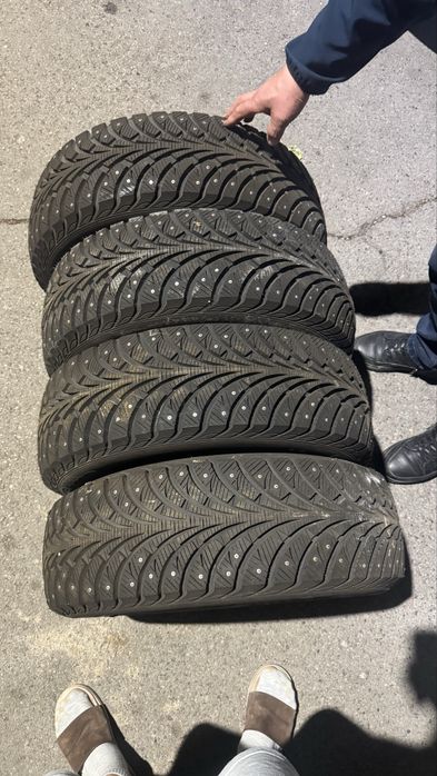 Sava шины новые!
